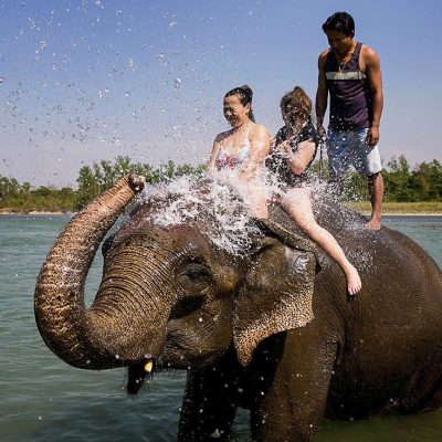 1561282557_01-chitwan-national-park-elephant-bathing