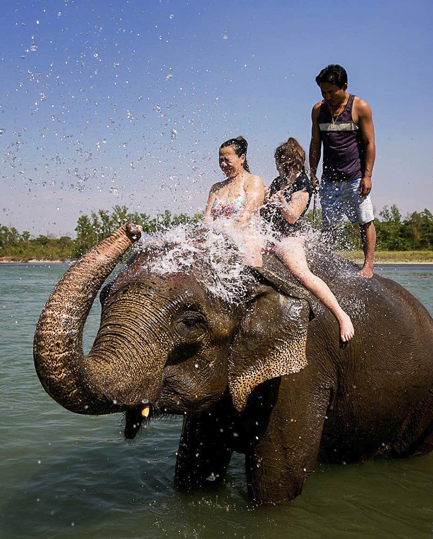 1561282557_01-chitwan-national-park-elephant-bathing